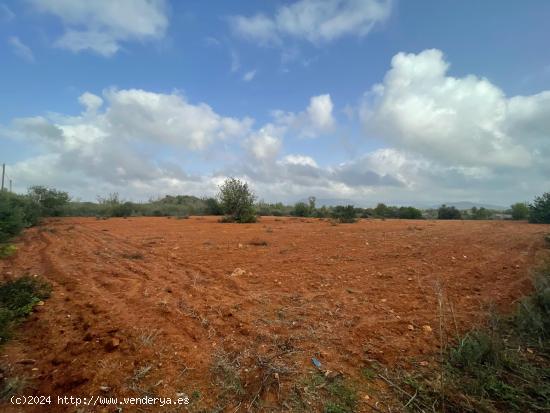 Se vende finca rústica edificable en Llucmajor - BALEARES