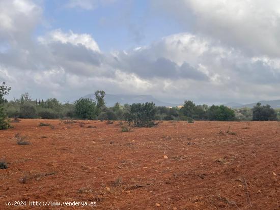 Se vende finca rústica edificable en Llucmajor - BALEARES