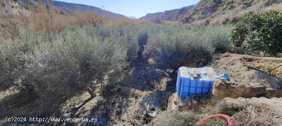 PARCELA SE ENCUENTRA EN LOS BAÑOS - MURCIA