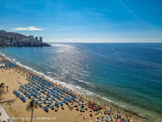 Apartamento en primera línea de playa en Benidorm - ALICANTE