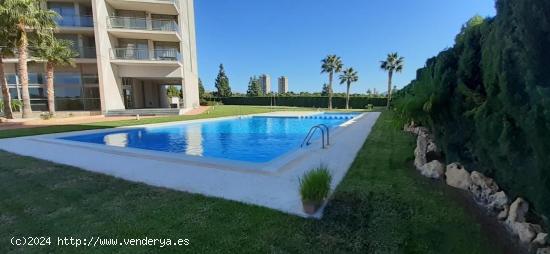 PISO EN ALQUILER EN VIA PARQUE EN BENIDORM - ALICANTE