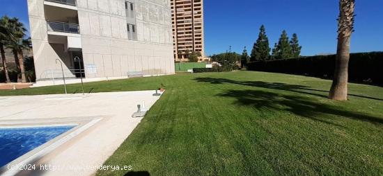 PISO EN ALQUILER EN VIA PARQUE EN BENIDORM - ALICANTE