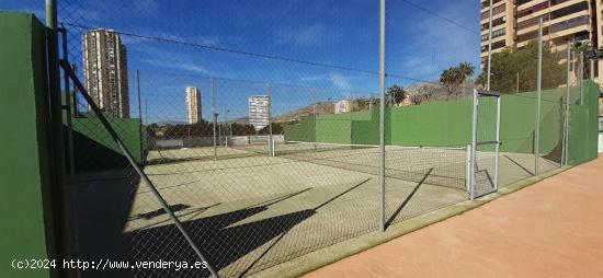 PISO EN ALQUILER EN VIA PARQUE EN BENIDORM - ALICANTE