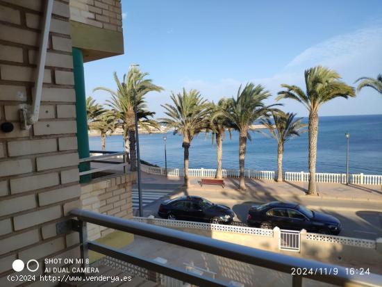  SE VENDE APARTAMENTO EN PRIMERA LINEA EN TORRE DE LA HORADADA - ALICANTE 