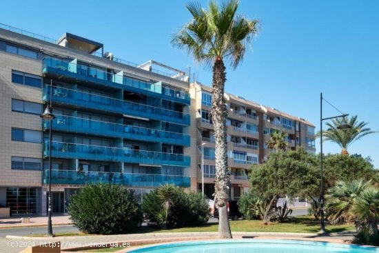 Apartamento en venta en Torrevieja (Alicante)