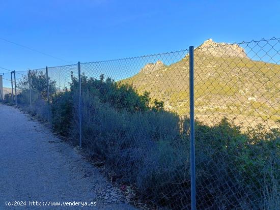 Terreno urbano con vistas al mar - ALICANTE