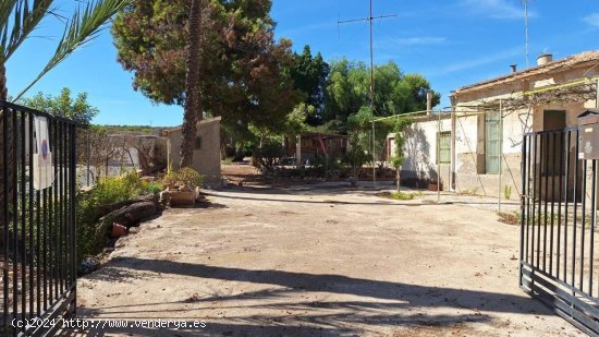  Villa en venta en Elche (Alicante) 