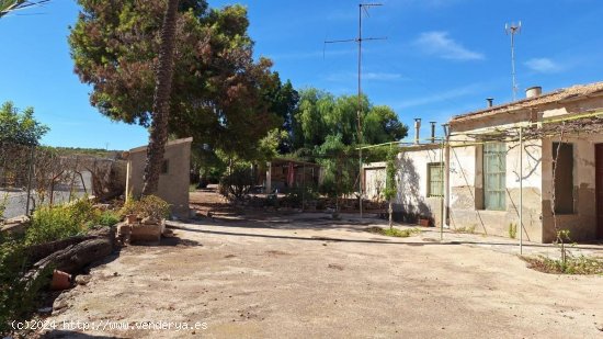 Villa en venta en Elche (Alicante)