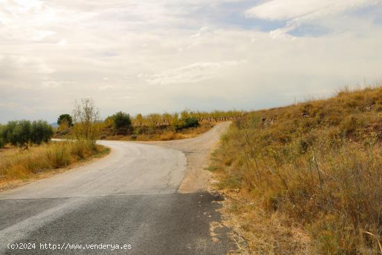 Terreno en zona RASPAY, Jumilla - MURCIA