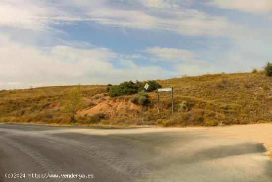 Terreno en zona RASPAY, Jumilla - MURCIA