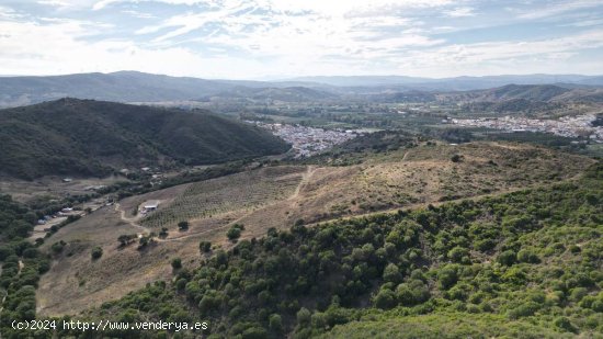 Solar en venta en Manilva (Málaga)