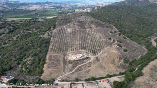 Solar en venta en Manilva (Málaga)