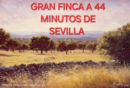 Finca en venta en Morón de la Frontera (Sevilla)