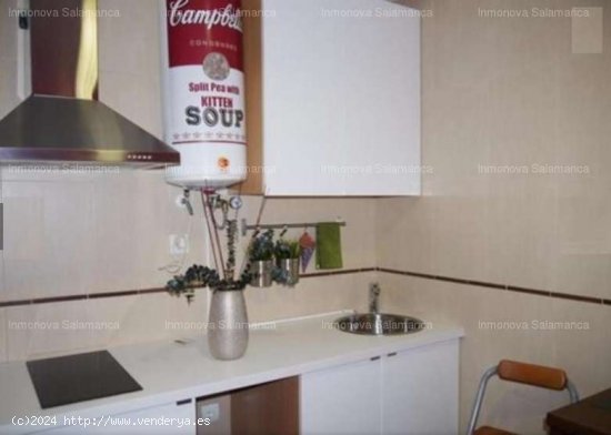 Salamanca ( Centro-Plaza Mayor); dúplex- loft, 2 estancias, baño. 650€ - Salamanca