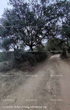 SE VENDE FINCA RÚSTICA EN VENTA EN GALAROZA (HUELVA) ESPAÑA. - Galaroza