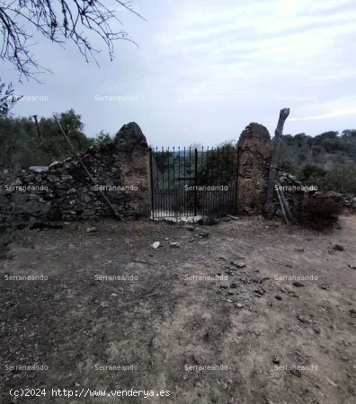 SE VENDE FINCA RÚSTICA EN VENTA EN GALAROZA (HUELVA) ESPAÑA. - Galaroza