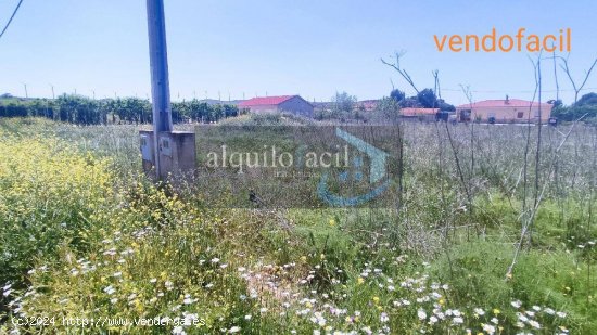 SE VENDE TERRENO RUSTICO EN POZO CAÑADA DE 1100 METROS CON AGUA Y LUZ POR 22000€