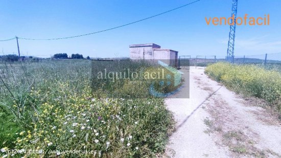 SE VENDE TERRENO RUSTICO EN POZO CAÑADA DE 1100 METROS CON AGUA Y LUZ POR 22000€