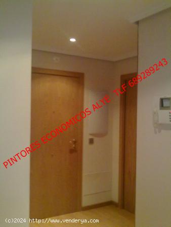 PINTOR ECONOMICO EN LE