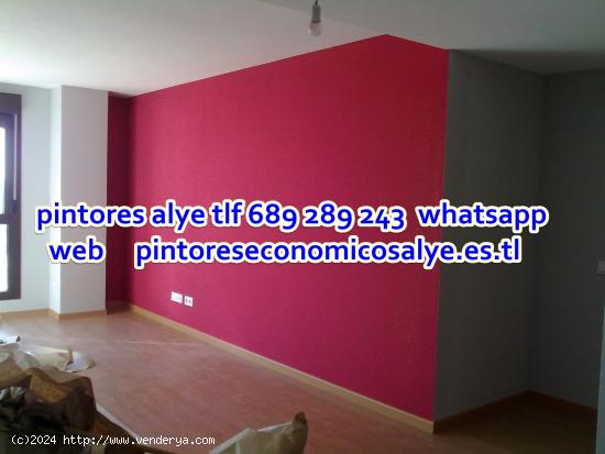 PINTOR ECONOMICO EN LE