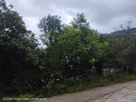 TERRENO URBANO EN EL VALLE DE MENA - BURGOS