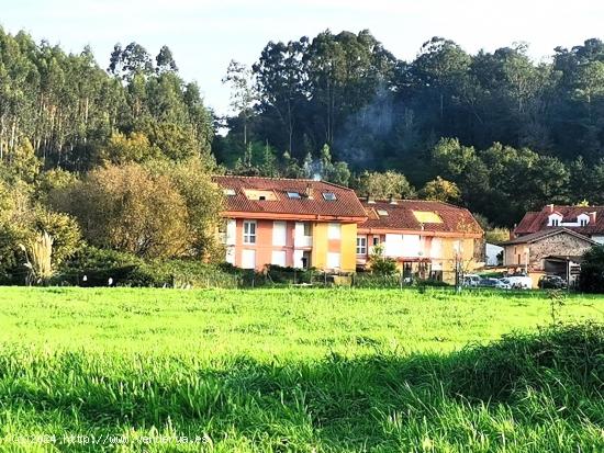 Terreno urbanizable con proyecto y licencia - CANTABRIA