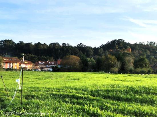 Terreno urbanizable con proyecto y licencia - CANTABRIA