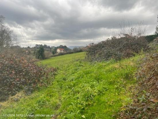  Se Vende en Colunga - ASTURIAS 