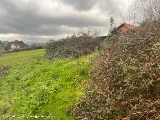 Se Vende en Colunga - ASTURIAS