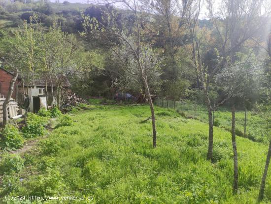 OPORTUNIDAD , CASA DE PIEDRA CON TERRENO A LADO DEL RIO EN SAN ESTEBAN DE VALDUEZA - LEON