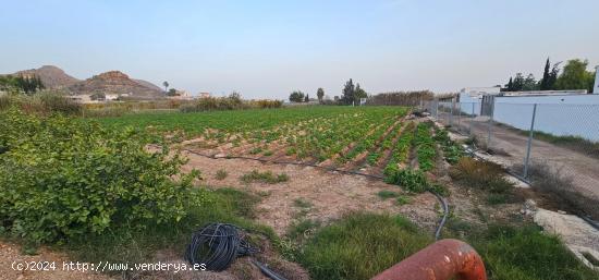 Terreno para hacer el hogar de tus sueños - MURCIA