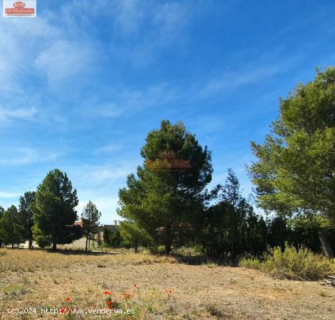 OCASIÓN!! TERRENO RUSTICO EN CASAS VIEJAS - ALBACETE