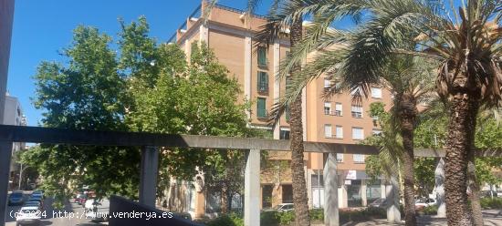 MAGNÍFICO PISO CÉNTRICO EN VENTA EN BADAJOZ - BADAJOZ