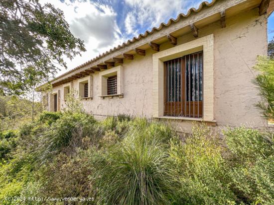 FINCA RÚSTICA EN SINEU - BALEARES