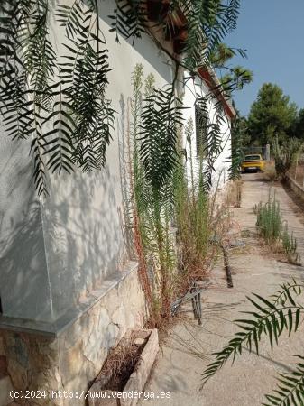 Bonita finca rústica con safareig - BALEARES