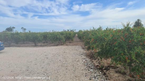 TERRENO ACONDICIONADO CON CONTENEDOR, LUZ Y AGUA - ALICANTE