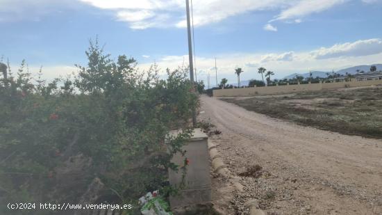 TERRENO ACONDICIONADO CON CONTENEDOR, LUZ Y AGUA - ALICANTE