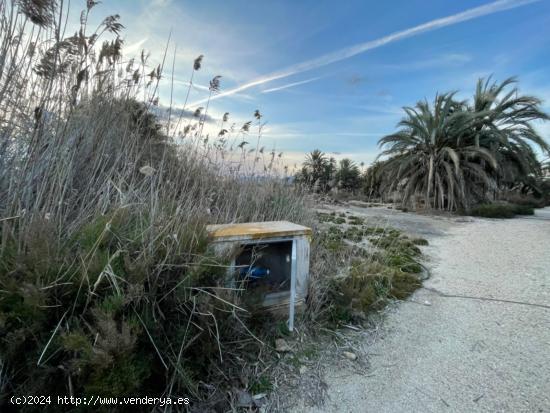  SE VENDE TERRENO CON AGUA DE RIEGO. MATOLA - ALICANTE 