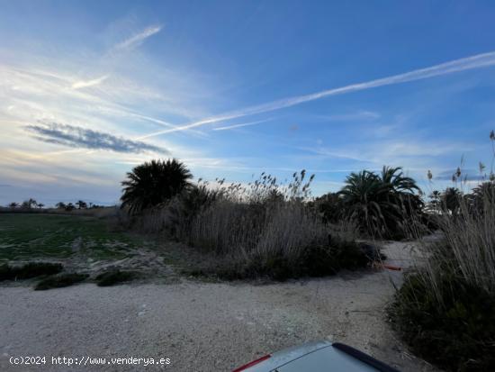 SE VENDE TERRENO CON AGUA DE RIEGO. MATOLA - ALICANTE