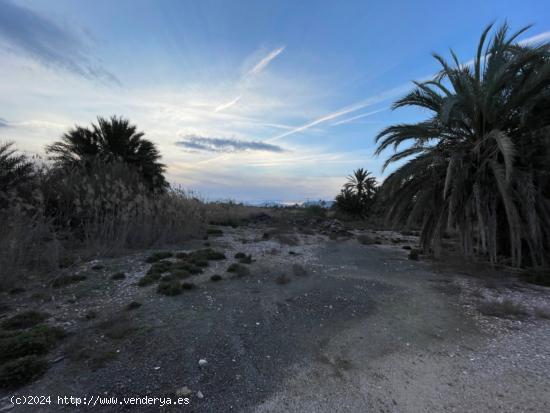 SE VENDE TERRENO CON AGUA DE RIEGO. MATOLA - ALICANTE