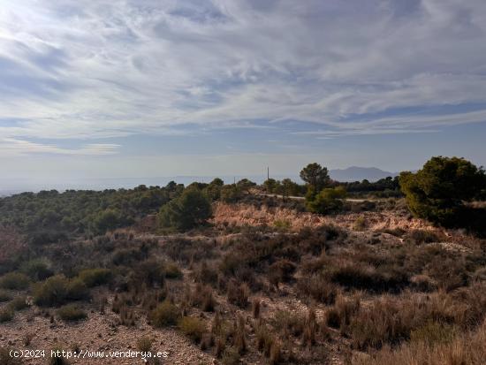 Parcela de 19400m2 para edificar un chalet con precisosas vistas.  a 7 MINUTOS DEL PUEPrecio 105.000