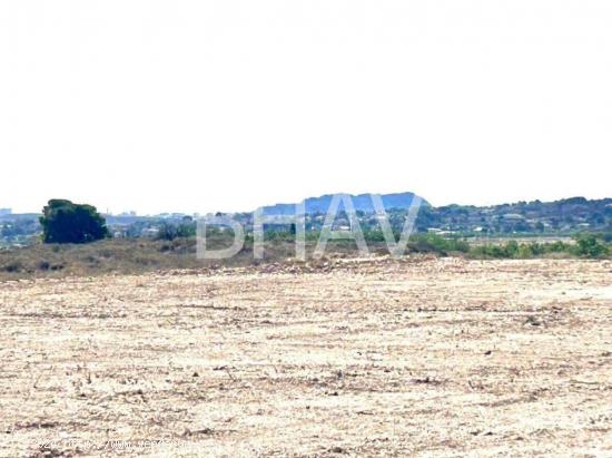 Terreno para construir casa con vistas al mar - ALICANTE