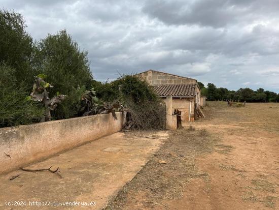 FINCA EN PORRERES DE 72720 M2 CON CASA DE 300 - BALEARES