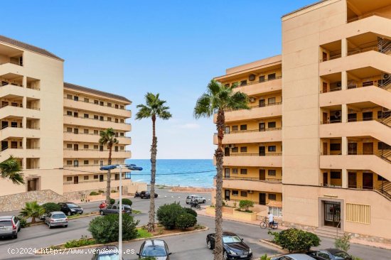 Apartamento en venta en Torrevieja (Alicante)