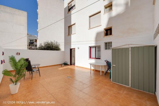  Apartamento en venta en Torrevieja (Alicante) 