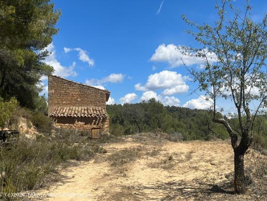  Maset en la montaña - TARRAGONA 