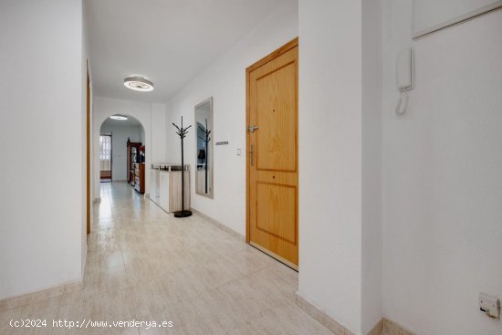 Apartamento en venta en Torrevieja (Alicante)