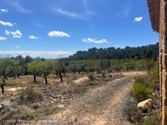 Maset en la montaña - TARRAGONA