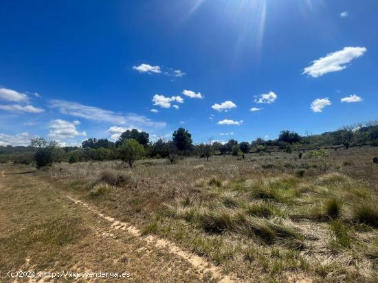 Terreno a recuperar - TERUEL