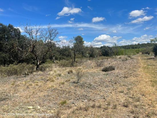 Terreno a recuperar - TERUEL